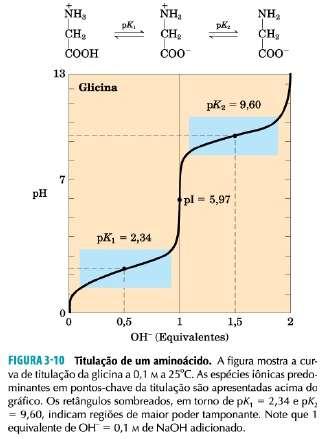 Propriedade ácido-base de aminoácidos Estado de