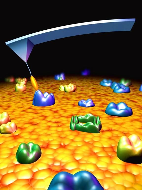 Interações entre uma sonda coloidal