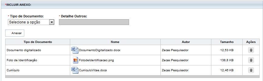 Como atualizar documentos? Os documentos: Currículo, Documento digitalizado e foto de identificação são obrigatórios. Caso queira atualizá-los clique em Anexar.