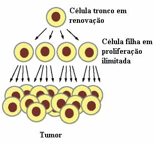 tronco embrionárias.