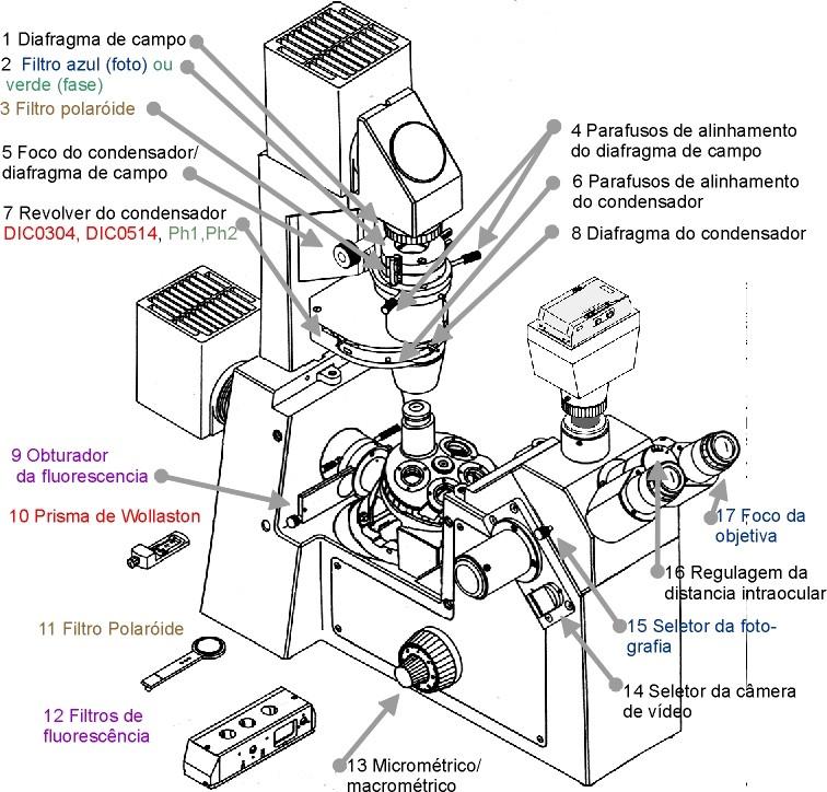 43 Componentes do microscópio