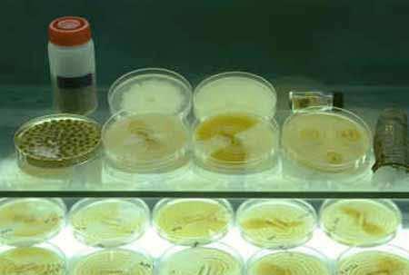 O início da era bacteriológica, com as descobertas de Pasteur, Koch e outros para a cura das doenças infecciosas, o desenvolvimento das vacinas para a prevenção das doenças, o isolamento dos vírus em