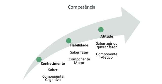 organizacionais e expressam o reconhecimento social sobre a capacidade de determinada pessoa (BRANDÃO e GUIMARÃES, 2001; ZARIFIAN, 1999).