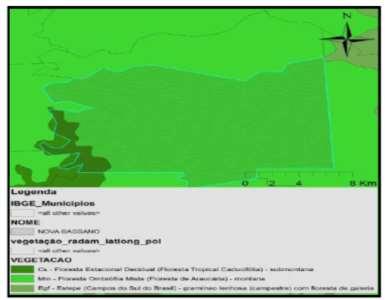 Figura 82: Perfil da vegetação do município de Nova Bassano. Fonte: FEPAM, 2012. 3.