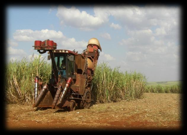 Redução do uso do fogo: Programa Etanol Verde: acordo com o setor sucroenergético