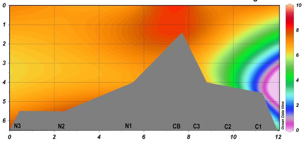 6 compreender este comportamento do sistema, já que na ausência da luz, o processo de mineralização e respiração prevalecem, incrementando a concentração de CO2 na água da laguna.