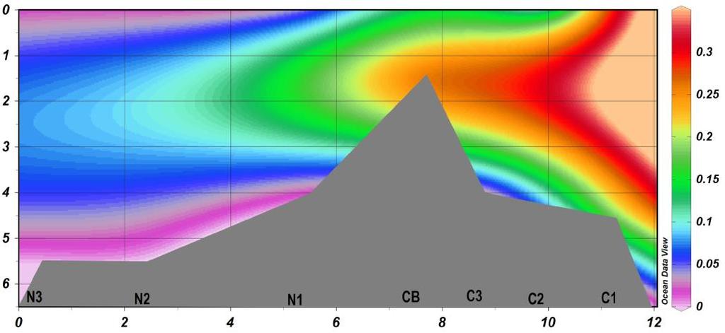 8 como importante oxidante da matéria orgânica, via denitrificação (CAMPOS, 2010), o que explica a sua baixa concentração neste local.