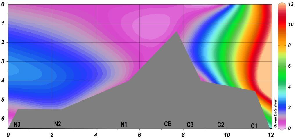 9 Profundidade (m) Figura 8: Concentração de NH (µm) ao longo da coluna d água nos pontos amostrais da região Norte (N1, N2 e N3) e Central (C1, C2 e C3) e do Canal da Barra (CB) da Lagoa da