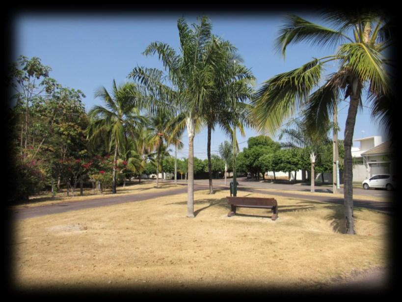 PLANO DE ARBORIZAÇÃO DO AQUARELA BRASIL O Aquarela Brasil Residencial foi criado no ano de 2008, projetado pelo