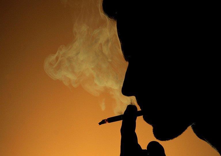 O USO DO CIGARRO ENVOLVE TRÊS DEPENDÊNCIAS DEPENDÊNCIA FÍSICA: O organismo do Tabagista se acostuma a receber uma certa dose de NICOTINA, tornando-se Dependente e quando ele deixa de Fumar apresenta