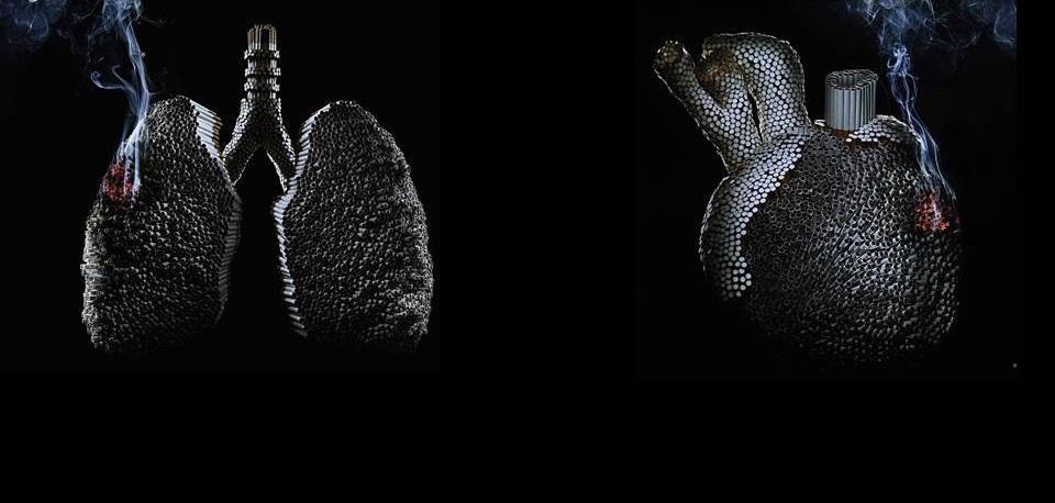 O Tabagismo está relacionado a: 90% dos casos de câncer de pulmão; 85% das mortes por bronquite; 45% das mortes