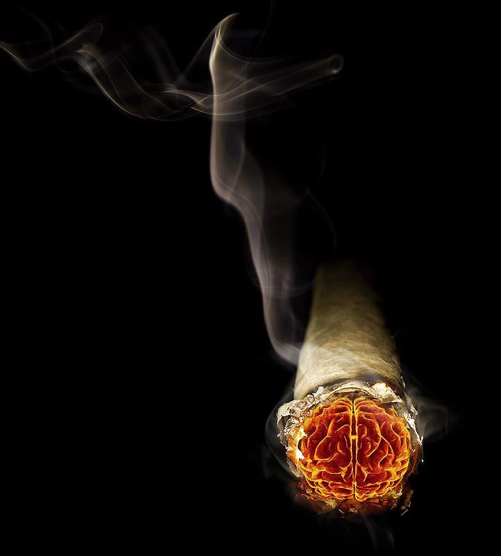 O Ministério da Saúde divulgou em 31/05/2014 uma pesquisa que indica redução no número de fumantes nos últimos oito anos.