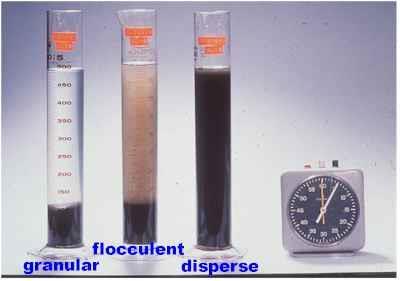 Sedimentação discreta (Tio 1): As artículas ermanecem com dimensão e velocidade constantes ao longo do rocesso de sedimentação.