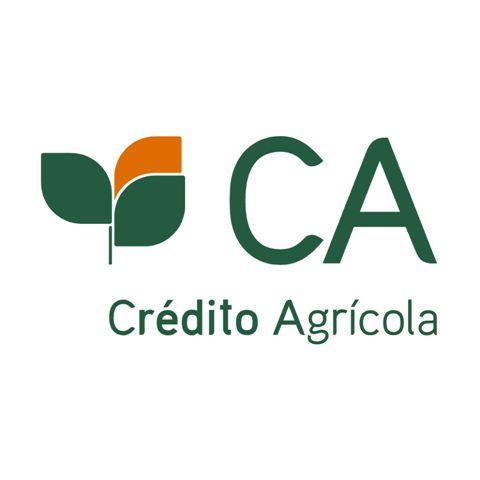 CAIXA DE CRÉDITO AGRÍCOLA MÚTUO DE OLIVEIRA