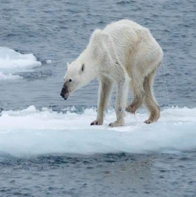 CLIMÁTICAS A - Causas das alterações climáticas B - Impactos das alterações