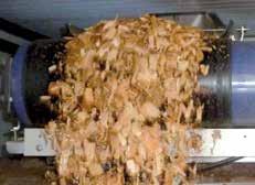 biodigestor O produto seco é apropriado para queima na produção de energia ou como cama para gado (leiteiro).