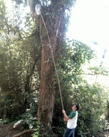 àquelas localizadas na porções mais acessíveis de uma área de mata atlântica, também dentro dos limites da instituição.