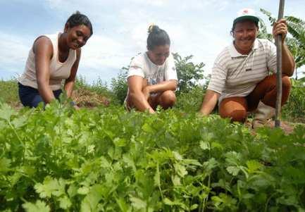 IMPORTÂNCIA DA AGRICULTURA FAMILIAR 84% dos