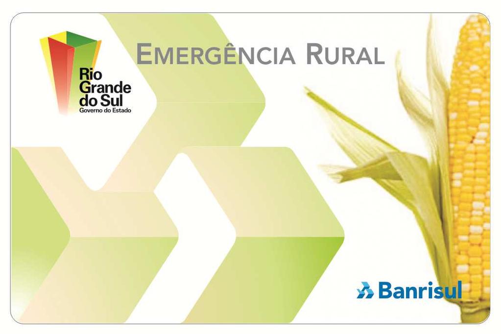 11. Ações Emergenciais R$ 197 milhões. Anistias: FEAPER, FUNTERRA, RS RURAL, Troca-Troca de Sementes, Mais Alimento.