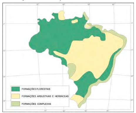 principalmente nos estados de São Paulo, Paraná e Santa Catarina que eram consideradas por Martius como subtropical, são agora incorporada ao grupo da região litorânea.