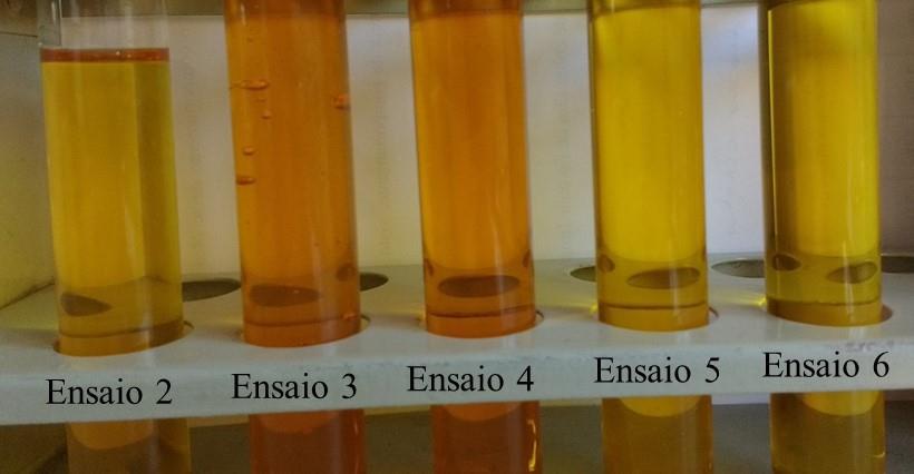 375 Os óleos 4 e 5 apresentaram percentuais bem próximos de ácido linoleico, inferiores ao do óleo do ensaio 2, mas o ensaio com TBHQ 1% m/m (ensaio 5) apresentou uma variação do índice de acidez