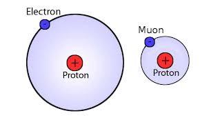Problema proposto Um méson μ -, cuja massa de repouso é 207 maior que a do elétron, e cuja carga é a mesma, pode