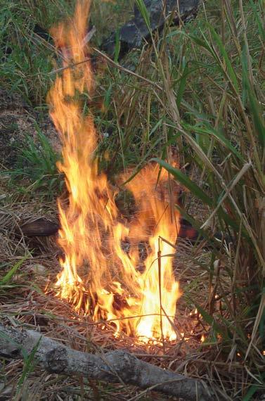 Como prevenir e proteger sua propriedade rural 8 Com o período de estiagem, começa a preocupação dos produtores rurais com a possibilidade de incêndios florestais e suas consequências, como os graves