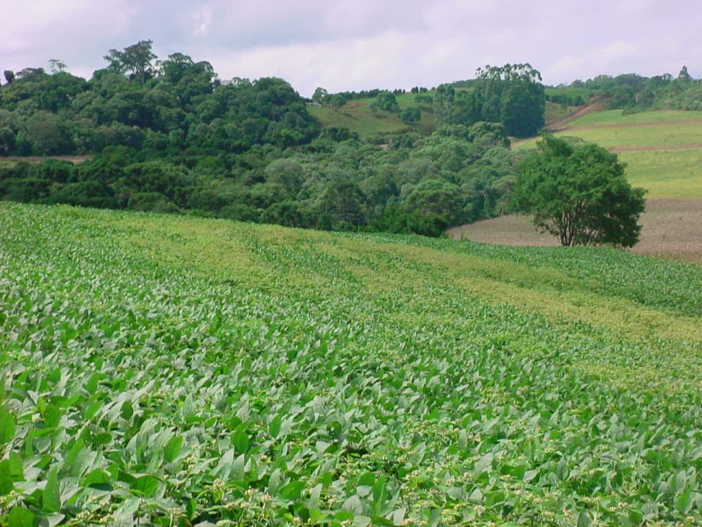 fls. 7 anos: Carazinho-RS Espumoso-RS