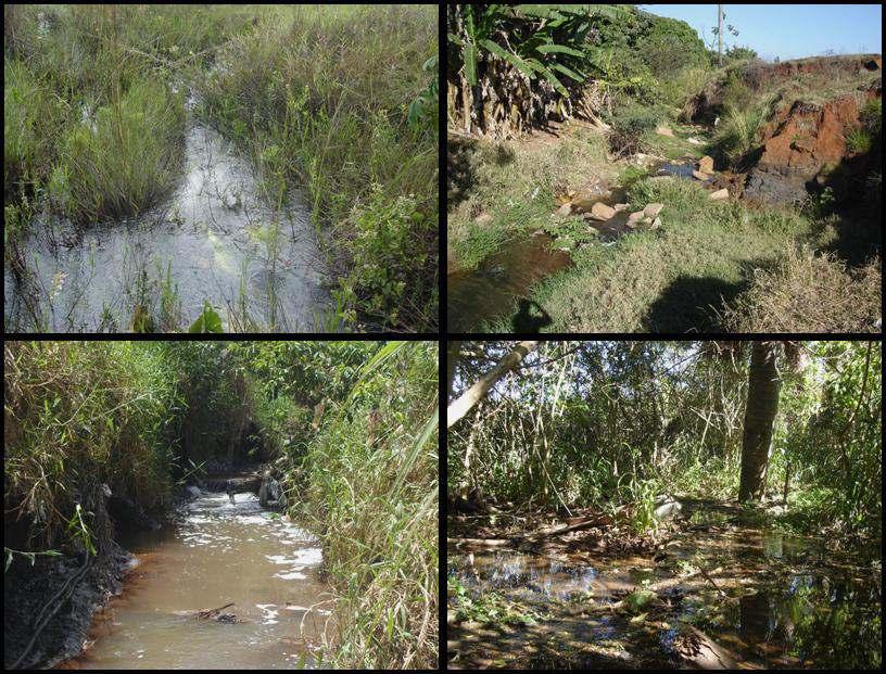 Universidade Federal de Uberlândia Instituto de Biologia Renata de Moura Guimarães Macroinvertebrados