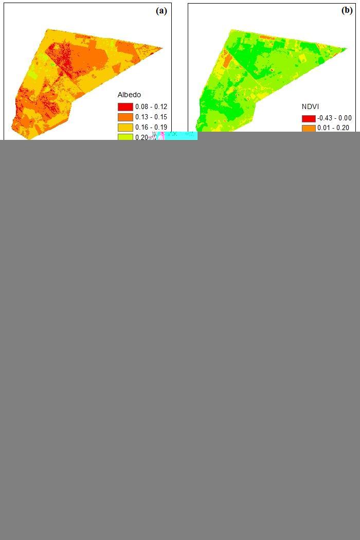 Figura 2: (a) albedo da superfície; (b) índice de vegetação da diferença normalizada (NDVI); (c) índice de área foliar (IAF); (d) temperatura da superfície (Ts, Kelvin); (e) saldo de radiação