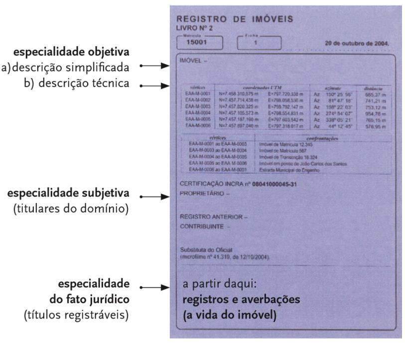 O Processo de Registro