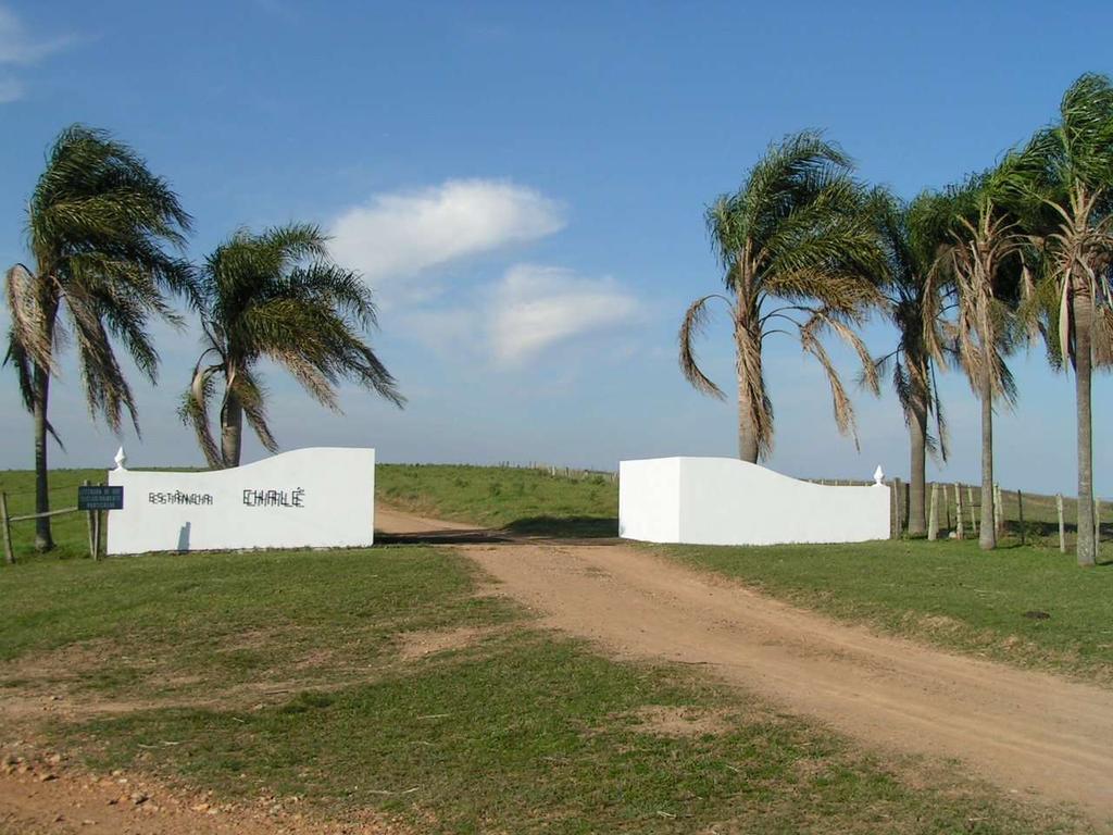 ESTÂNCIA CHALÉ Cachoeira do Sul/RS