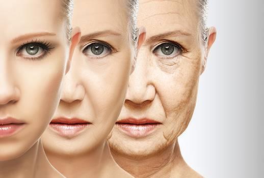 Envelhecimento É um processo lento, progressivo e inevitável, caracterizado pela diminuição da atividade fisiológica e adaptação ao meio externo, em que