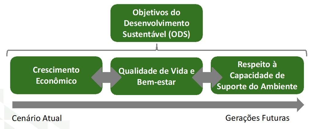 Conceitos Básicos: Desenvolvimento Humano Sustentável DESENVOLVIMENTO