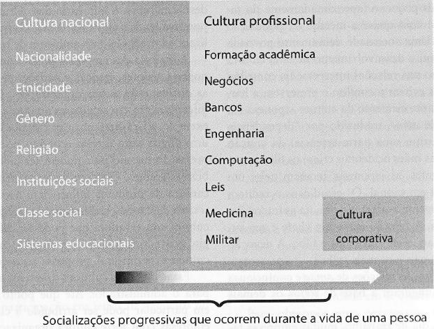 Figura: Cultura nacional, profissional e