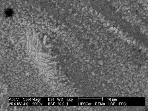 Microscopia Eletrônica de Varredura Recobrimento TSM466 A amostra foi fabricada a partir do pó moído com sobreposição de trilhas igual a 0,5 mm, utilizando como parâmetros de processamento potência =