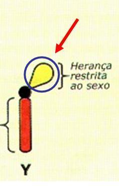 3 Outros tipos de herança relacionada ao sexo p.