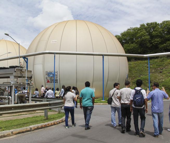 O valor síntese obtido por este procedimento possibilita o entendimento do grau de criticidade da UTE, ou seja, o nível de degradação ambiental da área e a identificação de alguns grupos de perfil