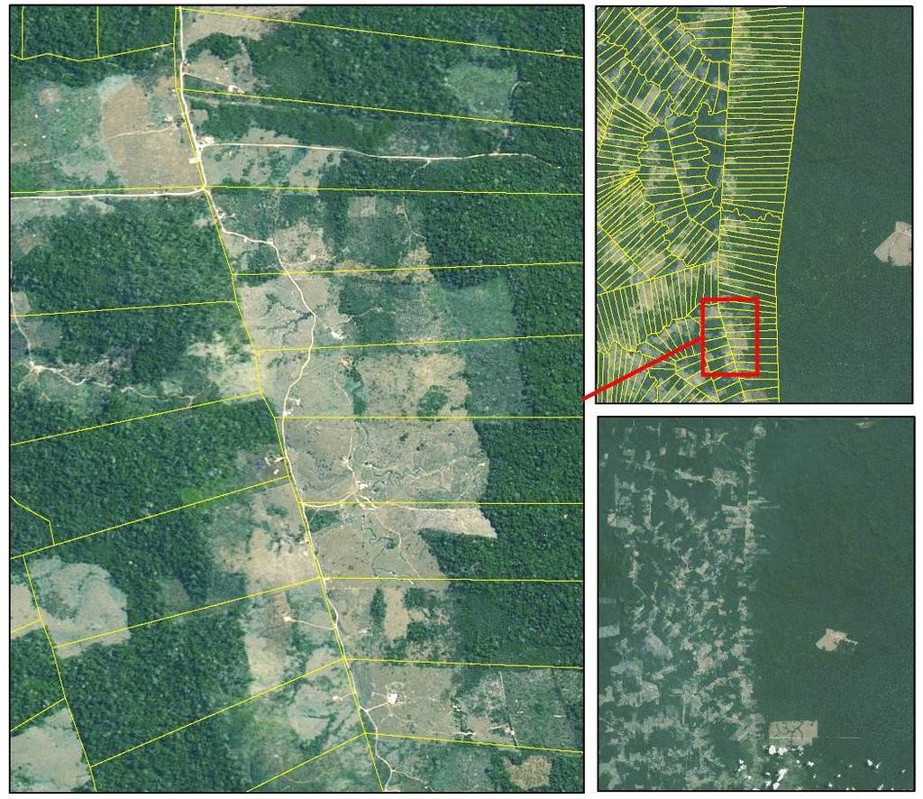 Mapeamento dos custos de oportunidade Para o levantamento do custo de oportunidade do território de Cotriguaçu, o custo de cada uso do solo (assentamentos rurais, pecuária e manejo florestal) será