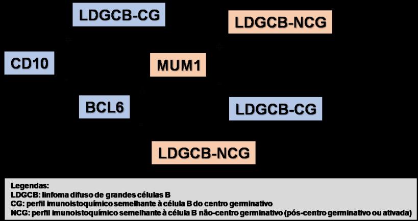 Figura 1: Algoritmo de Hans (5) como sucedâneo para a classificação molecular dos linfomas difusos de grandes células B em tipos centro germinativo e não-centro germinativo.