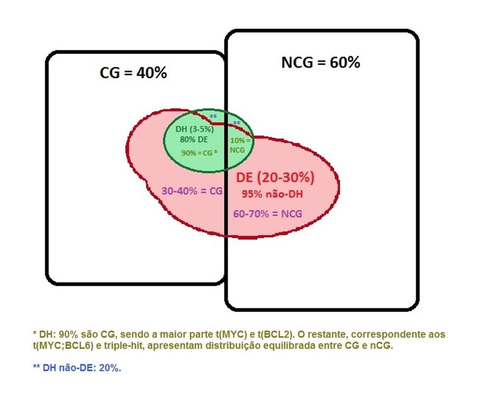ambas as técnicas para detectar alterações de C-MYC e BCL2, foi proposto um modelo de relevância prognóstica 14 : Grupo DH com translocação de C-MYC/IG ou DE + translocação só de C-MYC/IG (5% dos