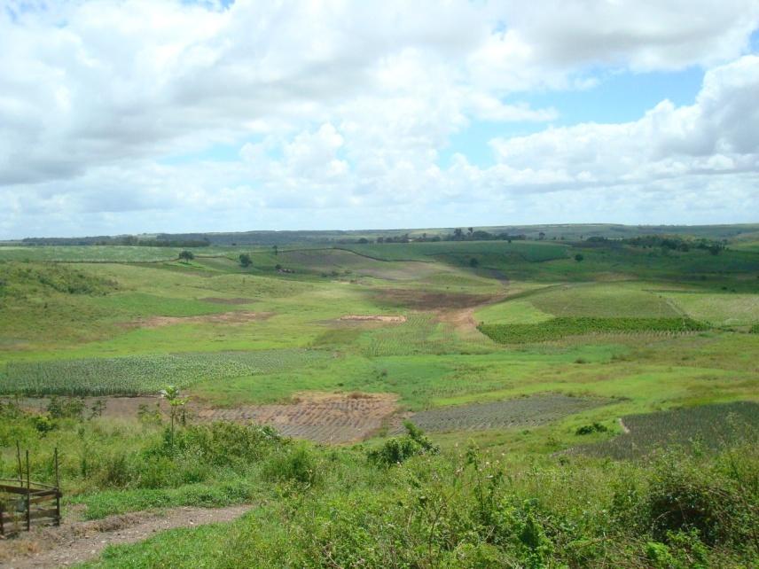 DIAGNÓSTICO AMBIENTAL