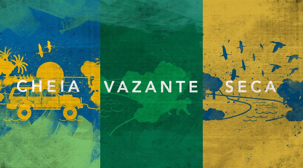 Cada etapa do ciclo das águas evidencia uma característica do Pantanal, mas a região sempre tem muita água e muitos animais.