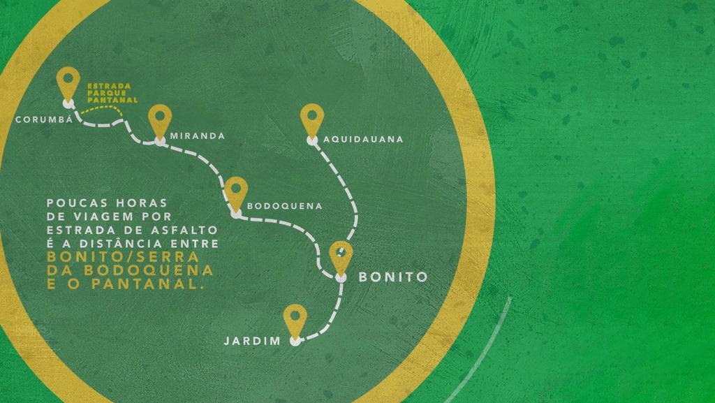 Poucas horas de viagem por estrada de asfalto é a distância entre Bonito/ Serra da Bodoquena e o Pantanal.
