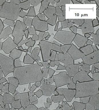 Os poros na microestrutura podem ser perfeitamente observados. 3. Alumina densa (99,7% Al 2 O 3 ), com grãos finos. 4.