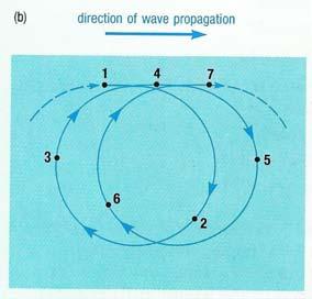 As deformações se propagam com a velocidade da onda, enquanto as partículas descrevem movimentos orbitais ou oscilatórios com a velocidade da partícula, permanecendo em uma mesma posição.