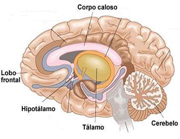 aprendizagem e