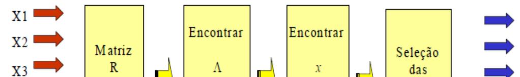 Componentes Principais Queremos encontrar uma combinação linear (componentes principais) das variáveis originais, de forma que estas combinações não