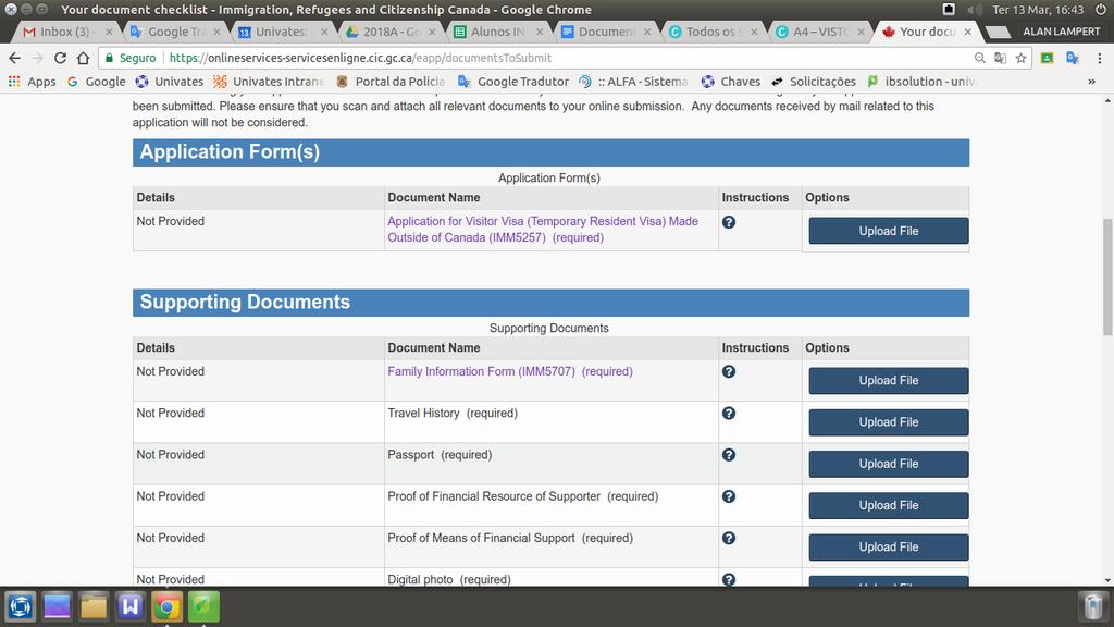 Os documentos Aplication for Visitor Visa (Temporary Resident Vista) Made Outside of Canada (IMM5257) e Family Information Form (IMM5707) devem ser baixados e preenchidos no computador usando o