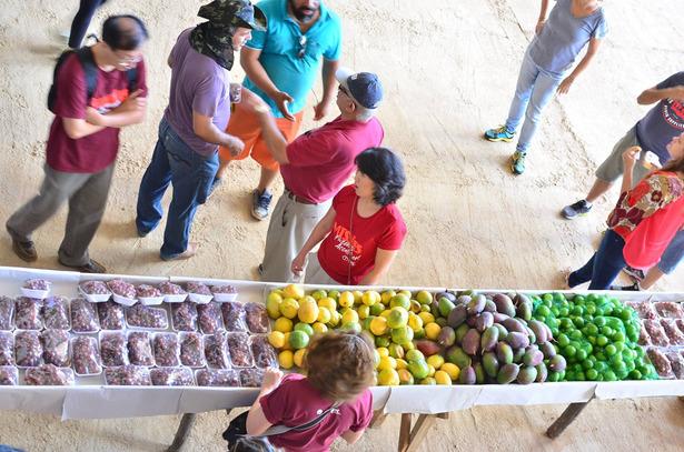 Programação 2018 Sábado 15/Set Avenida Olímpio Prates, 1231. Major Prates. Montes Claros - MG 'MENOS PLÁSTICO, MAIS VIDA'9h Sacolão Frutas, verduras, legumes e mais.